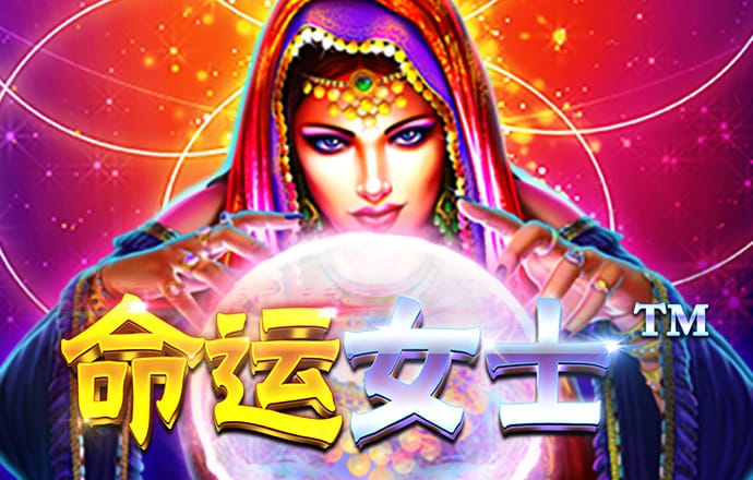 飞亚体育综合台